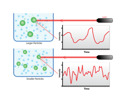 Measurement principle and function of dynamic light scattering method