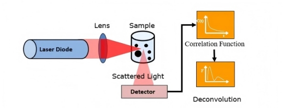 What is dynamic light scattering?cid=20